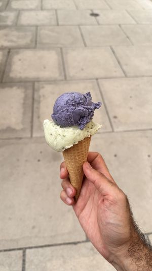   at Veganista Ice Cream MQ in Vienna