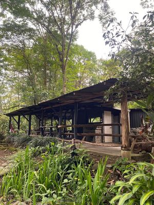  at La Nutria Vegana in San Jose