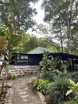  at La Nutria Vegana in San Jose