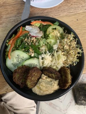 Daily menu with homemade falafel and hummus  at Bici Cafe in San Agustin
