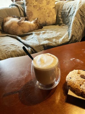   at Once Upon A Cat in Limoges