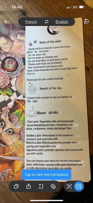   at Once Upon A Cat in Limoges