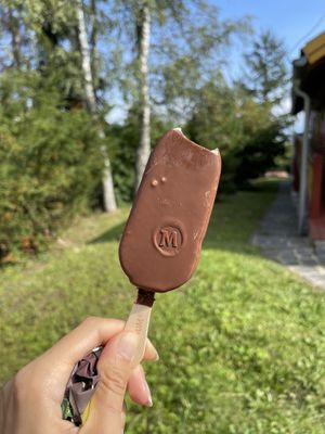 Vegan magnum  at Sintra in Vysoke Tatry