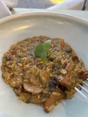 Mushroom orzo appetizer  at Five Senses in Santorini