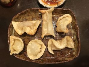 Garlic gyoza (spelling ”wisdom”) at Yakuzenshokudo Chabuzen in Tokyo