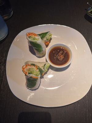 Summer rolls at Vina in Graz