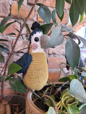 «Papegøye» is the Norwegian word for «parrot» at Papegoye in Oslo