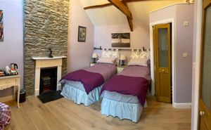 Teifi - king size bed or two singles with en suite at OakleyWales in Newcastle Emlyn