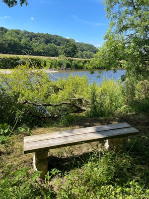 View of the River Teifi from our Riverside Walk  at OakleyWales in Newcastle Emlyn