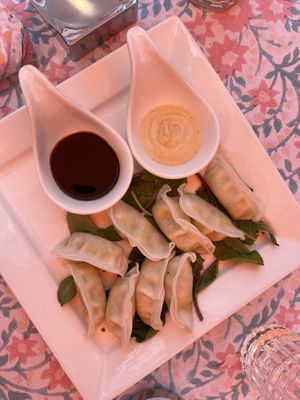 Potstickers  at V-Spot in New Hope