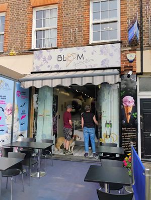  at Bloom in Kingston Upon Thames