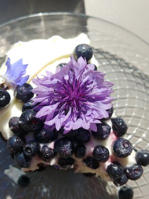  at Freya Cafe in Warsaw