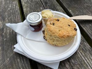   at RSPB Bempton Cliffs in Bridlington