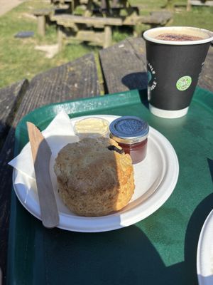 Scone   at RSPB Bempton Cliffs in Bridlington