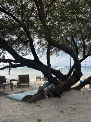 Beautiful setting! Great for sunset. I ordered the vegan dumplings and Korean Crispy Tofu! Both were excellent. Many other vegan options on menu!!  at Karma Kayak in 