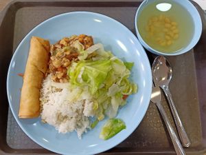 White rice with stir fried cabbage, tofu & spring roll at SuManYuan 素满园 - People's Park Centre in Central Singapore