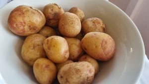  at Capri in Lanzarote