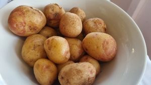 canary potatoes with mojo sauce at Capri in Lanzarote