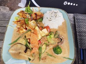 Erdnuss Curry mit Tofu, Reis und dazu Gyozas at Weisser Schwan in Potsdam