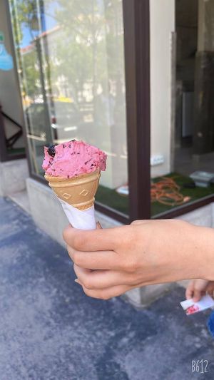 Forest Berry flavor at Dolce Fantasia Gelateria Italiana in Budapest