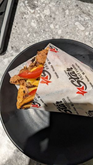 Vegan gyros with pita,hummus and fries at Star Fast Food in Rhodes