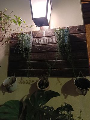 #Veganuary at La Cantina Degli Spiriti in Iglesias