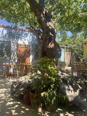   at Anemi Taverna in Crete