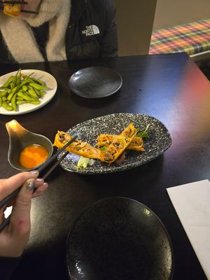 Roll at Dancing Noodles in Vienna