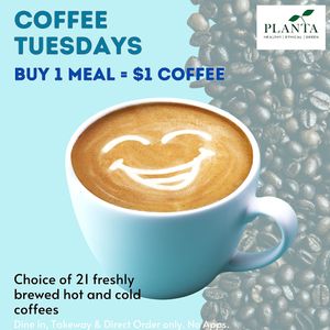  at Planta in Phnom Penh