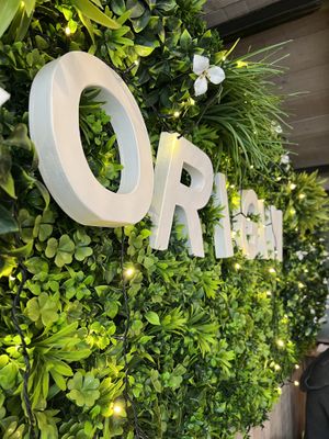   at Origin - Coffee Shop Végétal in Strasbourg