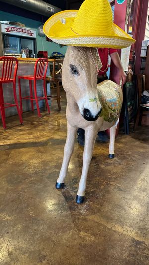 The Begging Burro  at The Begging Burro in Custer