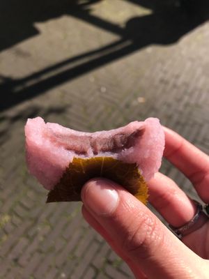 mochi  at Tokyo Taiyaki Story in The Hague