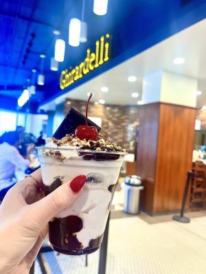 non dairy hot fudge sundae   at Ghirardelli in Chicago