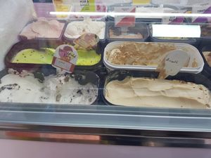 Clearly labelled vg/plant based options at Rainbow Scoops  in Darlington