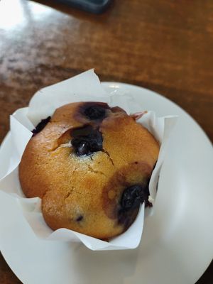 Blueberry muffin at Elizabeth Town Bakery Cafe in Elizabeth Town