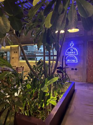   at El Socio Naiz Taquería in Cancun