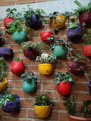 decoración #Veganuary at Vegarden in Medellin