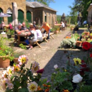 stableyard vibes at Reciprocity in St Germans