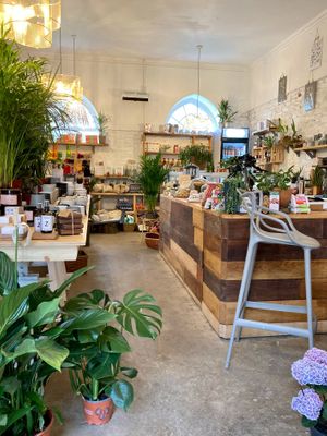 our magical curiosity shop at Reciprocity in St Germans