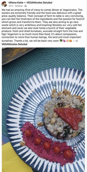   at Veganicelos in Setubal