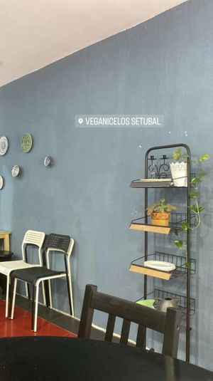   at Veganicelos in Setubal