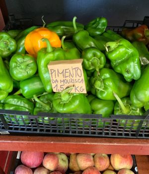   at Veganicelos in Setubal