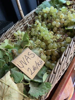   at Veganicelos in Setubal