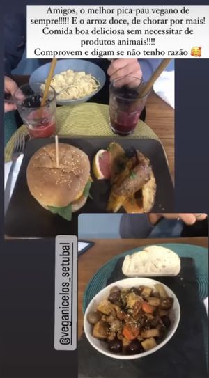 Pica-pau 4€ , cheese burger 6€  at Veganicelos in Setubal