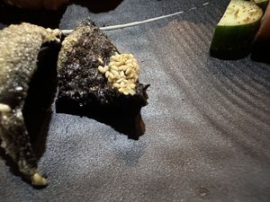 Home made sesame crackers   at Neko Vegan House in Penang