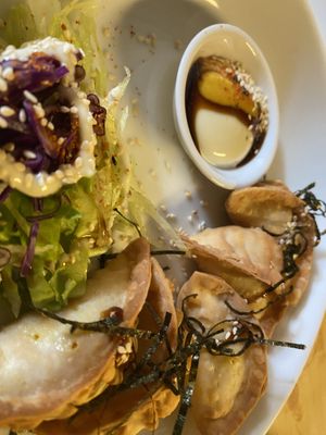 This is the plate of dumplings.  at Neko Vegan House in Penang