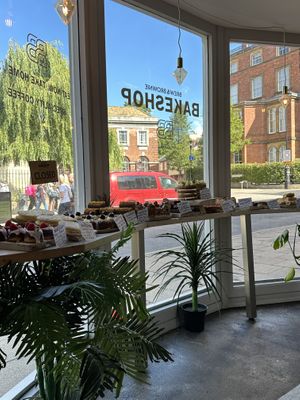   at Brew & Brownie in York