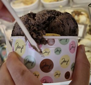 Oreo at Joeys in Ilfracombe