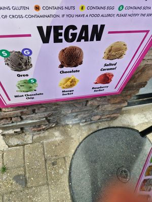 Vegan flavours at Joeys in Ilfracombe