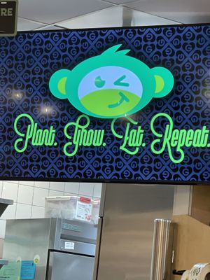   at G-Monkey in West Hartford